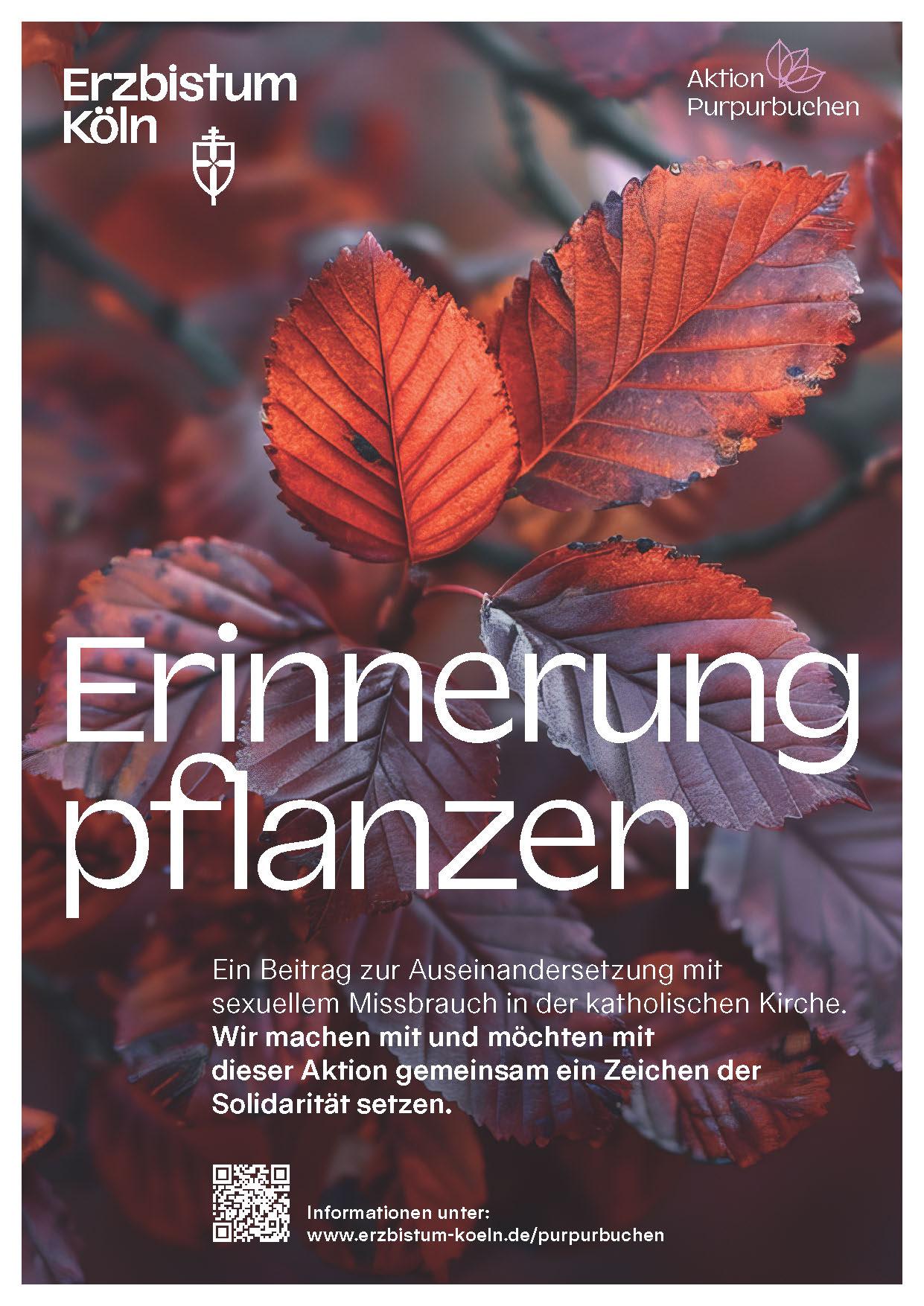 Aktion Purpurbuchen - Erinnerung pflanzen - Ein Beitrag zur Auseinandersetzung mit sexuellem Missbrauch in der katholischen Kirche. Wir machen mit und möchten mit dieser Aktion gemeinsam ein Zeichen der Solidarität setzen.