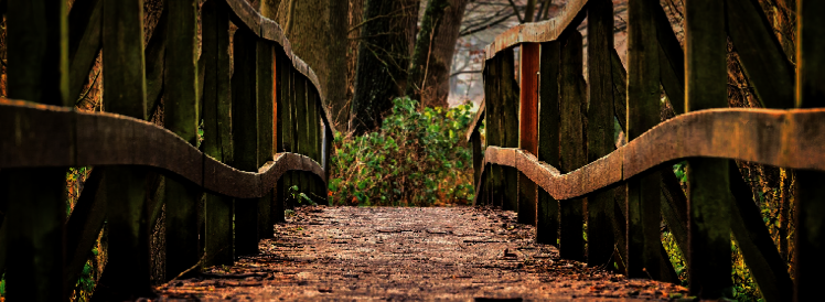 Holzbrücke auf Wanderpfad mit Schriftzug 'Trauer auf dem Weg' und 'Spurensuche....'
