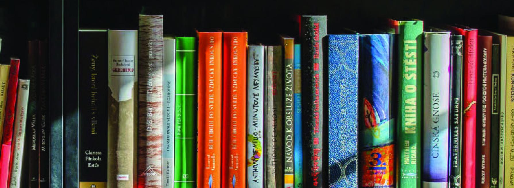 Neuland betreten 17.06.2025: Welch ein tolles Buch!