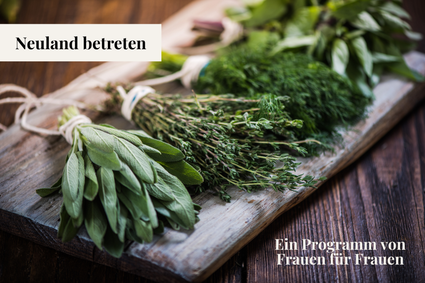 Neuland betreten 16.06.2026: Heilkraft der Kräuter