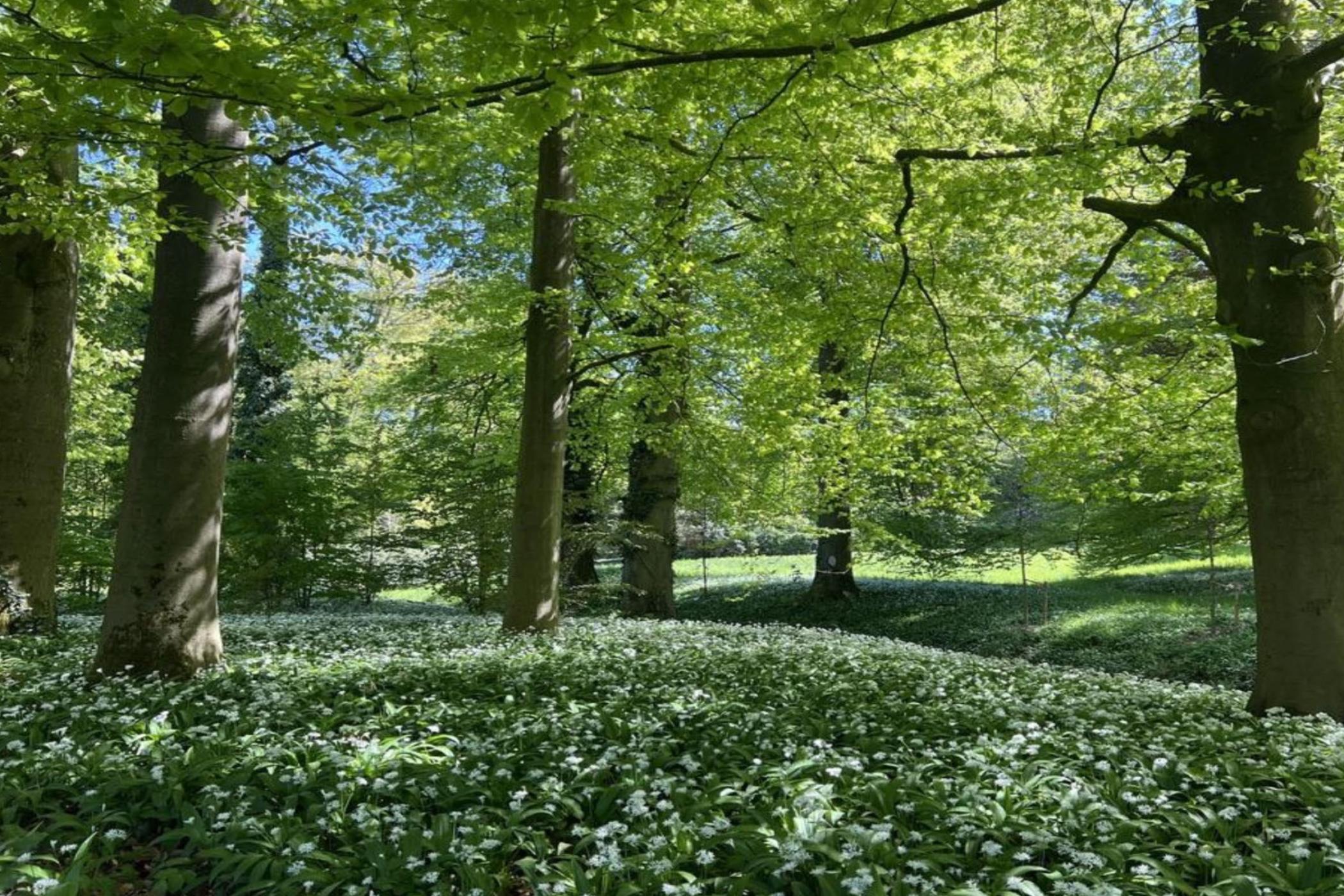 Einladung der kfd zur Halbtagesfahrt zum Gasometer in Oberhausen am 25.06.2026