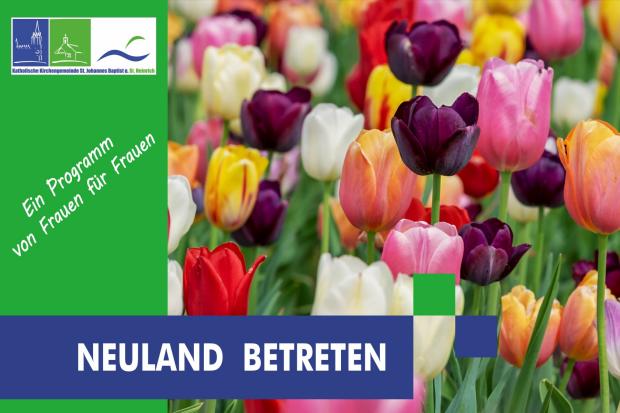 Blühendes Tulpenfeld - Neuland betreten - Ein Programm von Frauen für Frauen