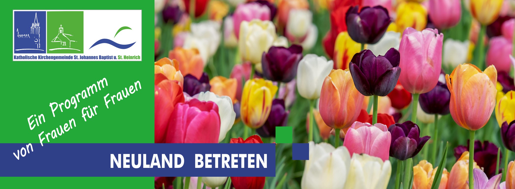 Blühendes Tulpenfeld - Neuland betreten - Ein Programm von Frauen für Frauen